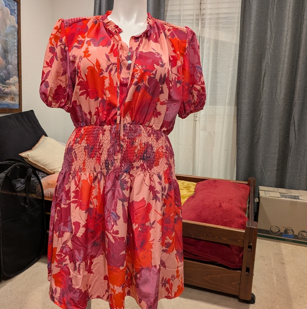 First Love Floral Pink and Red Dress - 1X